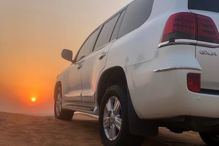 Red Dunes Desert Safari in Dubai: Afternoon Adventure with Camel Ride & Dune Bashing