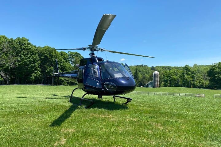 lakeside-helicopter-proposal-from-nyc-to-warwick photo 3