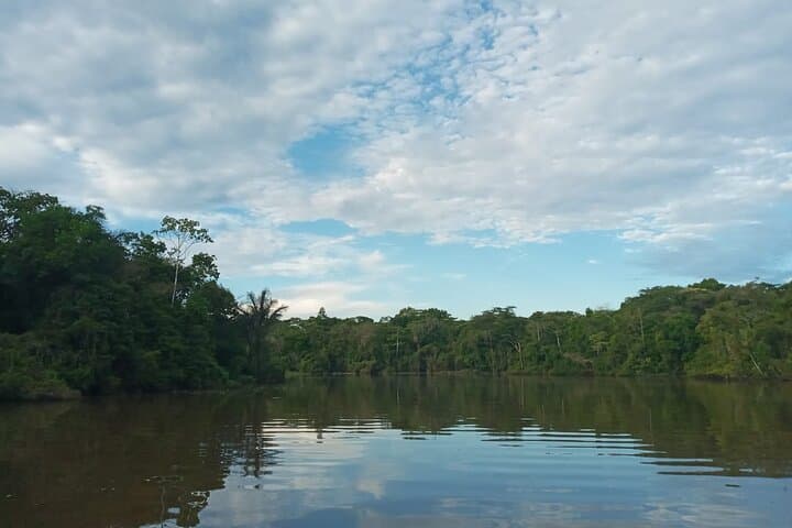 Itaya and Amazon River Confluence Cruise — Dolphin & Riverbank Wildlife Tour photo 3