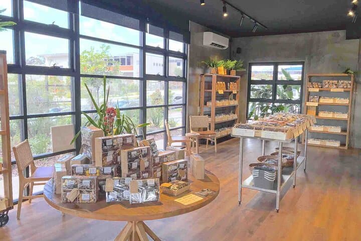 Secrets of Noosa: Oceanview Lunch, Everglades Lookouts & Noosa River Ferry photo 4