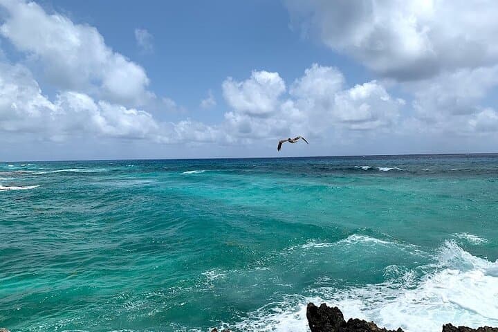 Full-Day Catamaran Snorkel Tour to Cozumel’s Best Reefs from Playa del Carmen photo 4