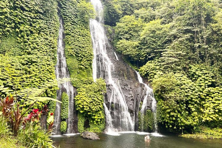 Banyuwana & Banyumala Waterfall Hike: Private Day Tour from Ubud photo 2