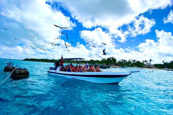 Saona Island Natural Pool & Starfish Tour from Punta Cana — Fast Boat and Catamaran photo 3