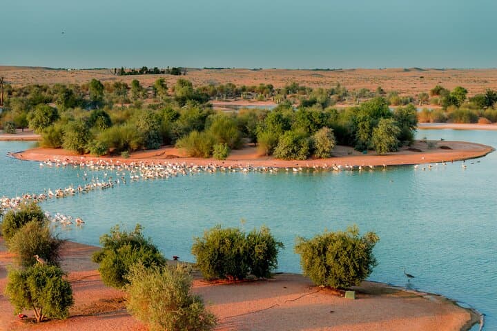 Dubai Desert Sunset: Al Marmoom & Al Qudra Lakes Day Tour with Dinner