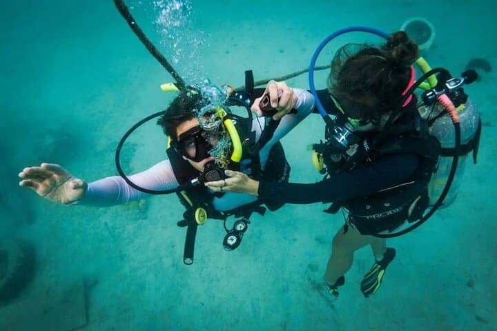Beginner Discovery Scuba Diving in Anilao — Day Trip from Manila photo 3