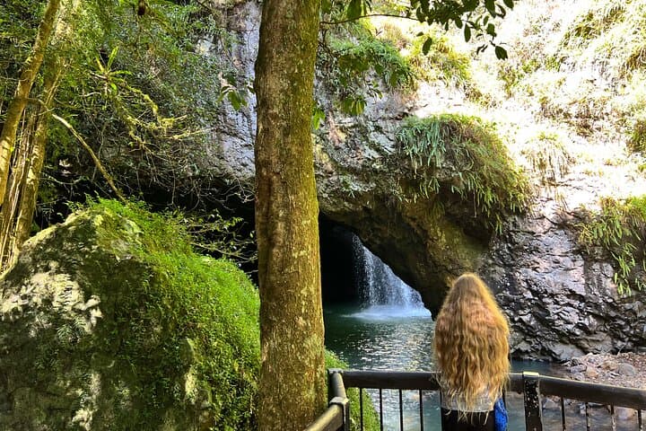 Springbrook Natural Bridge & Mt Tamborine Skywalk: Glow Worm Cave, Rainforest Walks and Scenic Lookouts