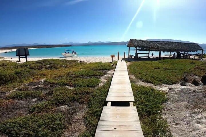 Coronado Island Snorkeling & Beach Picnic — Day Trip from Loreto photo 5