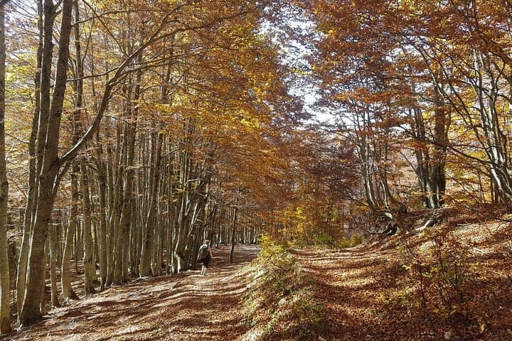 Peaks of the Balkans: Self-Guided 8-Day Trek Through Albania, Montenegro & Kosovo photo 6