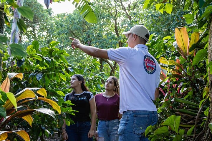 Monteverde Coffee Tour: Farm Walk, Roasting & Cupping Experience photo 2