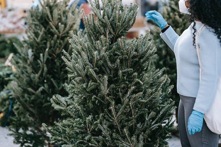Iconic NYC Christmas Walking Tour — Rockefeller Tree, Bryant Park & Saks Lights photo 2
