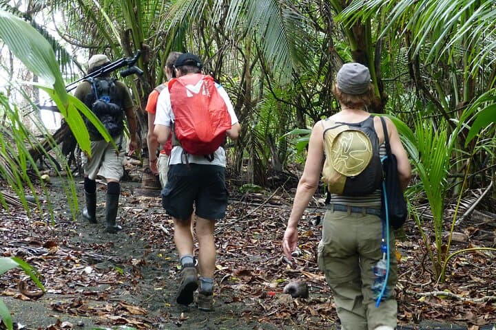 Sirena Station Overnight: Two-Day Corcovado Rainforest Immersion photo 3