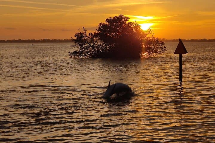 Banana River Cocoa Beach Sunset Cruise: Dolphin & Manatee Evening Tour photo 2