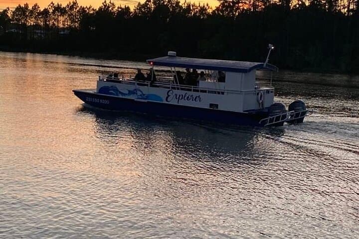 Orange Beach Dolphin and Nature Sunset Cruise: Shallow-Creek Sunset Excursion