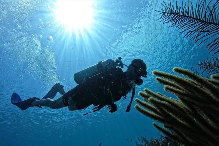 Private Beginner Scuba Diving in San Andrés Islands: Guided 6–12m Intro photo 3