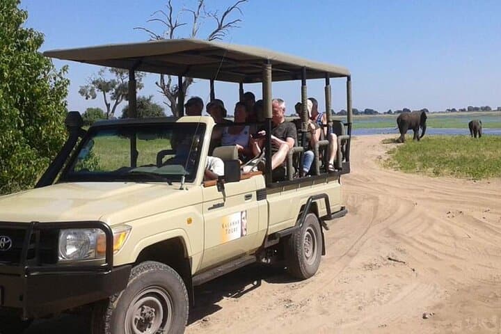 Chobe Game Drive Safari — Kasane Riverfront Elephants & Birdlife photo 5