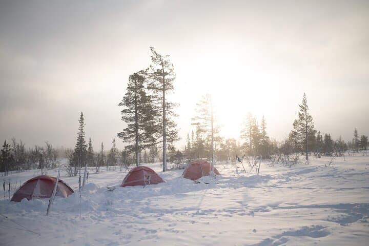 Fulufjället Ski Touring: Multi-Day Winter Expedition from Navardalen photo 6