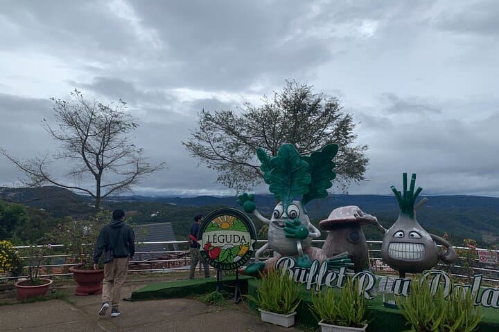 2-Day Dalat VIP Tour: Waterfalls, Cable Car & Countryside Highlights photo 5