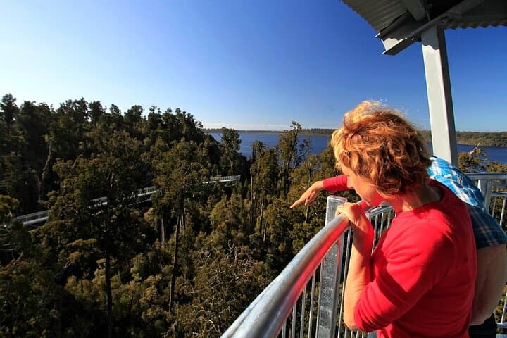 West Coast Tower Zipline & Treetop Walk: Greymouth Canopy Adventure photo 2