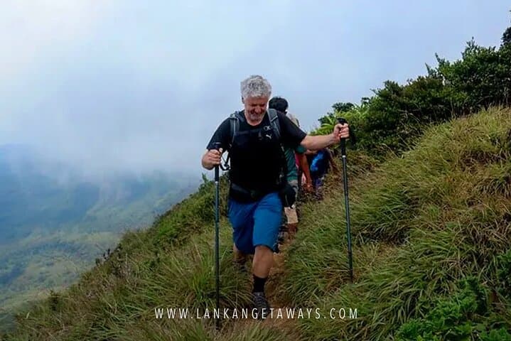 Knuckles Mountain Trek: Full-Day Hike Through Tea Fields and Cloud Forest photo 3