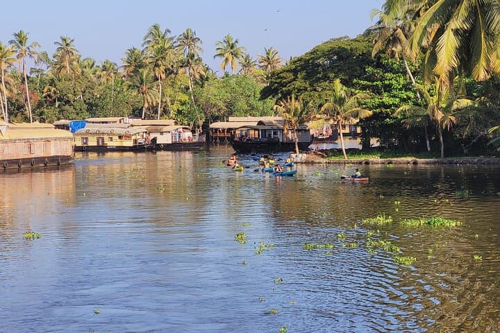 8-Day South India Tour: Munnar, Backwaters & Kabini Wildlife photo 5