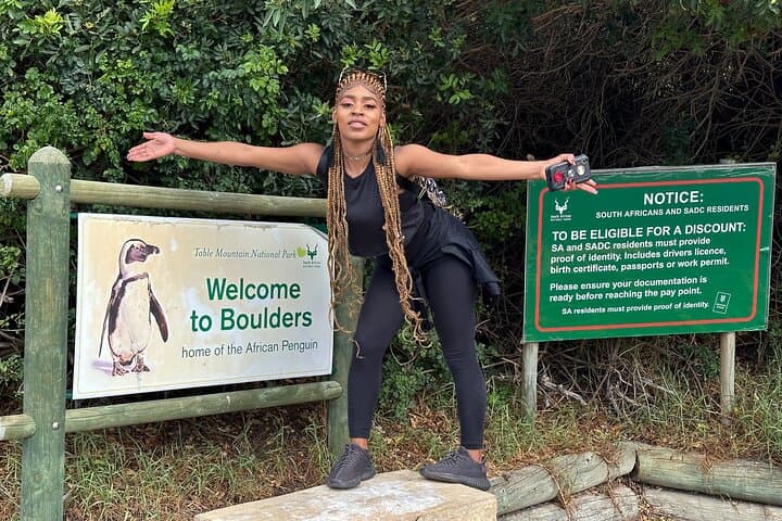 Boulders Beach Penguin Encounter: Half‑Day Cape Town Tour via Chapman's Peak