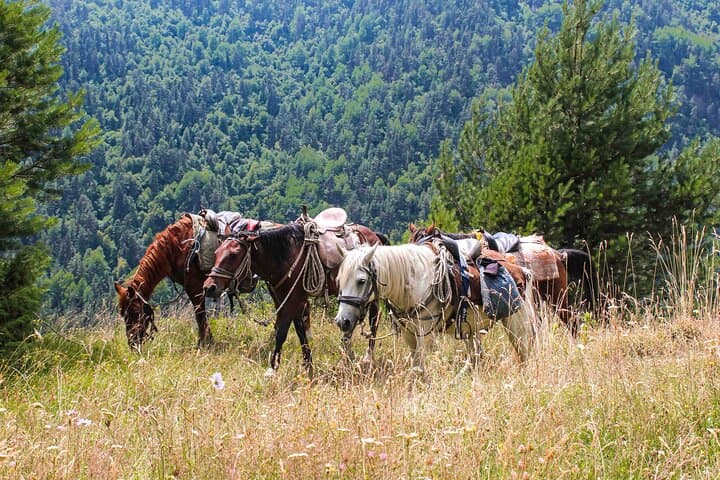 5-Day Horseback Journey Through Tusheti: Atsunta Pass to Shatili