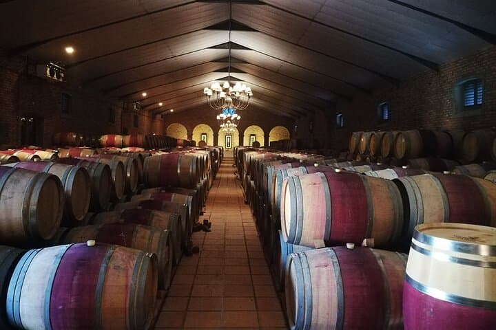 Meet the Winemaker: Private Cape Winelands Tour from Cape Town photo 3