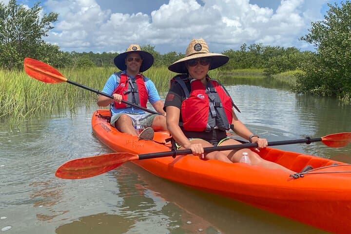 Matanzas River Kayak: Dolphin & Sea Turtle Eco-Tour in St. Augustine photo 6