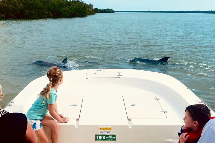 Private Marco Island 10,000 Islands Sightseeing and Dolphin Tour photo 6