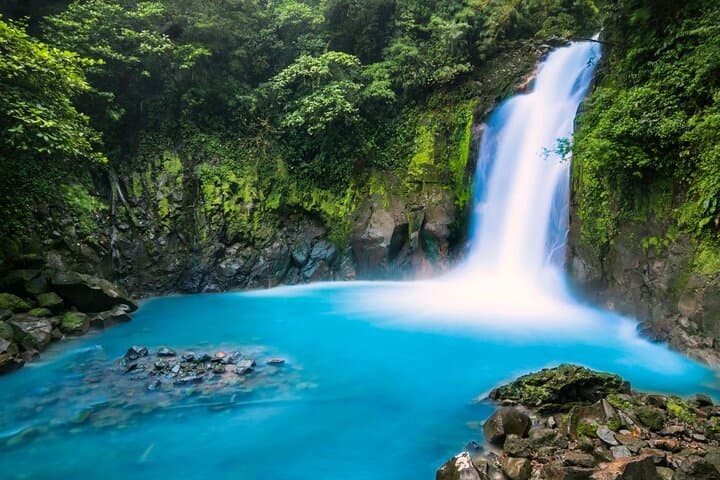 Río Celeste Full-Day Hike: Waterfall, Blue River & Natural Hot Springs photo 2