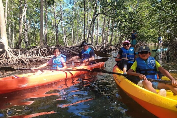 Miami Mangrove SUP & Kayak Jungle Exploration photo 2