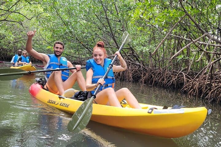 Miami Mangrove SUP & Kayak Jungle Exploration photo 3