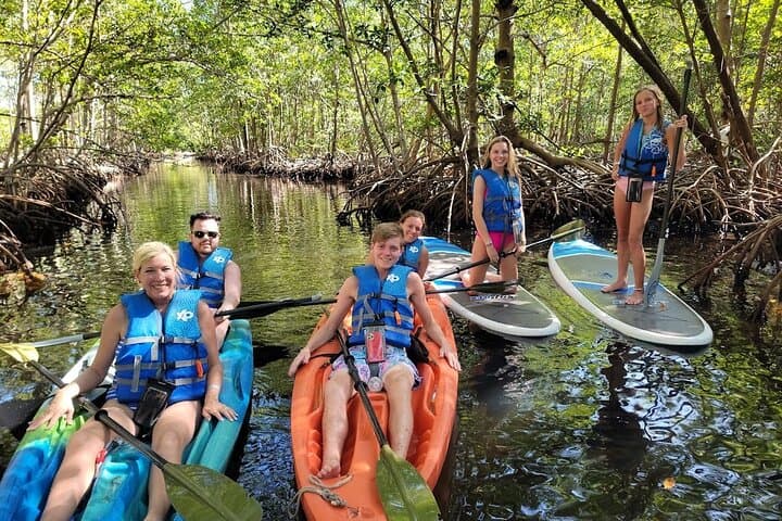 Miami Mangrove SUP & Kayak Jungle Exploration photo 5