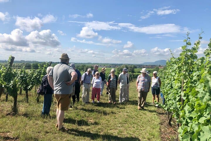 walking-the-mandelberg-vineyard-wine-tour-tasting-in-alsace