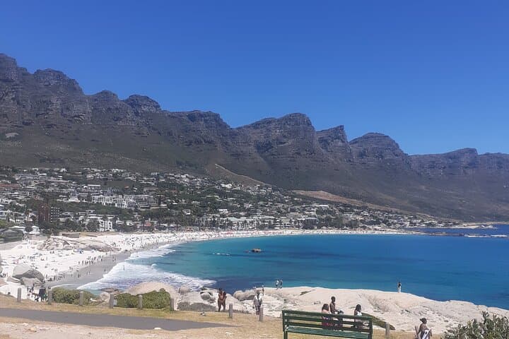Private Scenic Cape Peninsula Tour: Table Mountain to Cape Point photo 4