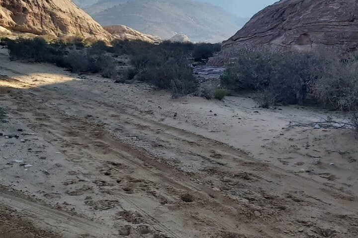 Indiana Jones Petra Back Road Trail — Private Half-Day Horseback Tour from Little Petra to the Monastery photo 3