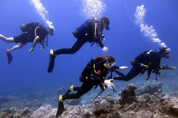 Discover Scuba Diving at Le Morne: EasyDive Mauritius Introductory Dive photo 5