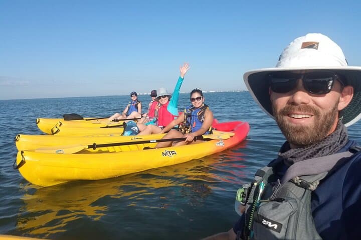 Paddle the Restored Mangrove Bayou: Kayak Tours from The Bay Park, Sarasota
