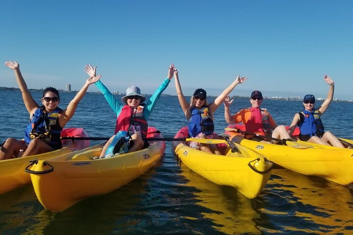 Paddle the Restored Mangrove Bayou: Kayak Tours from The Bay Park, Sarasota photo 2