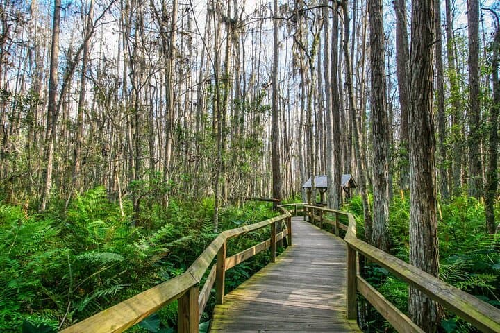 Everglades Self-Guided Driving Audio Tour — 48-Mile River of Grass Route photo 6