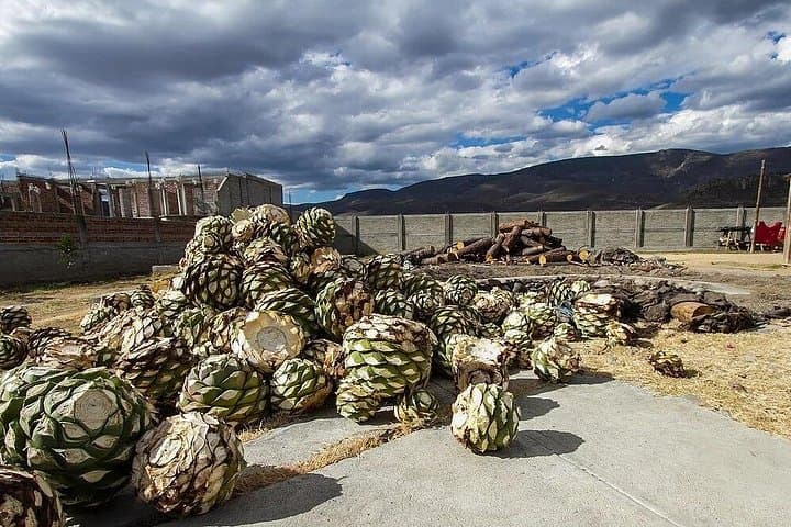 Oaxaca Day Trip: El Tule, Teotitlán, Mitla, Hierve el Agua & Mezcal Tasting photo 3