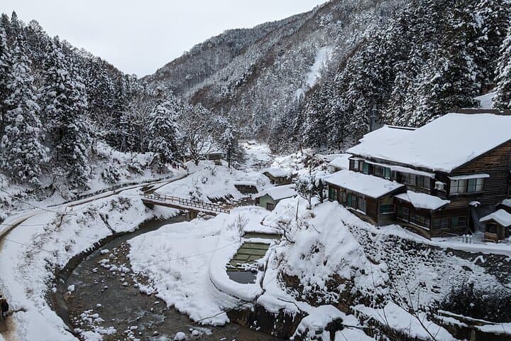 Nagano Snow Monkey Day Trip from Tokyo with Beef Sukiyaki Lunch photo 5