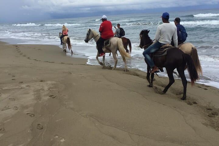 Cabarete Horseback Riding: Beach-to-Mountain Atlantic Ride (2–3 Hours) photo 4