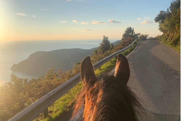 Monterosso Cinque Terre Coastal Horseback Ride: Sea Views & Trail Vistas