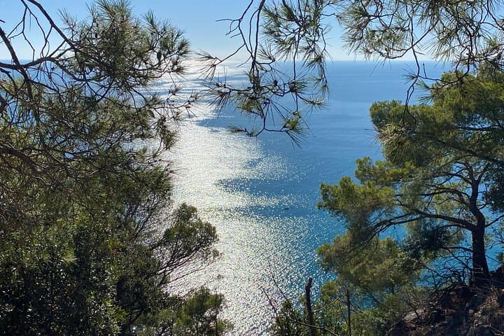 Monterosso Cinque Terre Coastal Horseback Ride: Sea Views & Trail Vistas photo 6