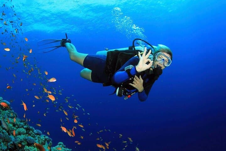Fethiye Scuba Diving: Two-Dive Aegean Experience for Beginners