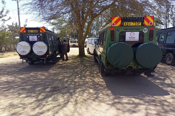 3-Day Maasai Mara Private Safari: Game Drives, Lodges & Wildebeest Migration photo 5