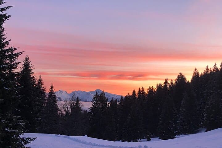Grenoble Night Sky Walk — Guided Stargazing & Telescope Session photo 6