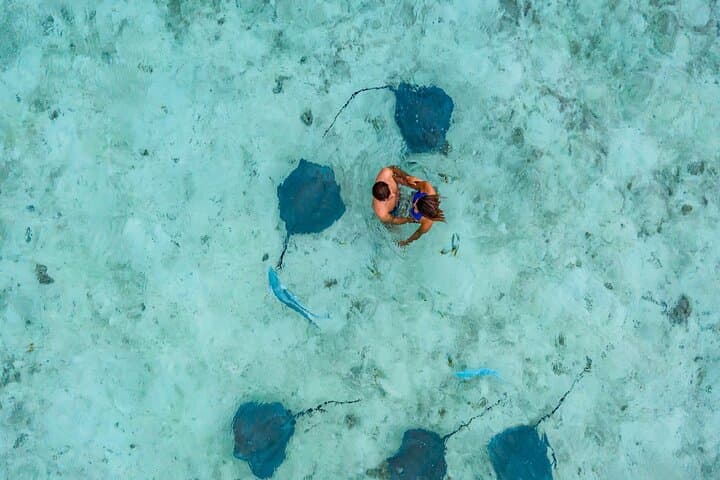 Bora Bora Private Jet Ski and Eco Sharks & Rays Snorkel Combo photo 2