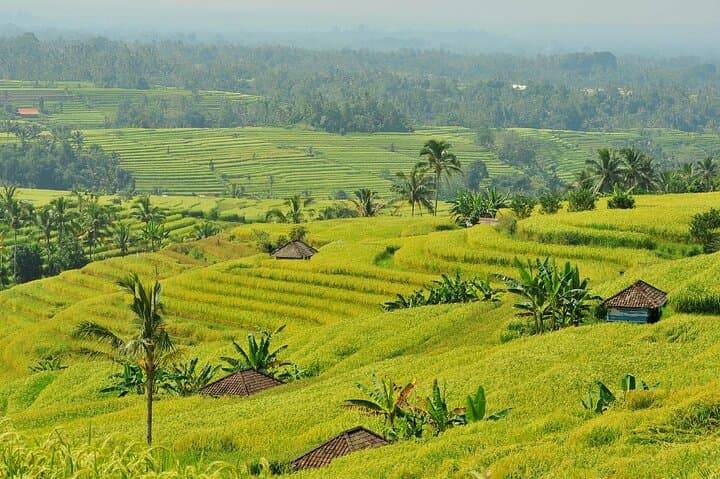 Jatiluwih & Batukaru: Full-Day Rice Terrace, Temple and Farm Tour from Ubud photo 6